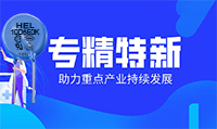 HEL壓敏電阻生產(chǎn)工廠被評(píng)為專(zhuān)精特新中小企業(yè)